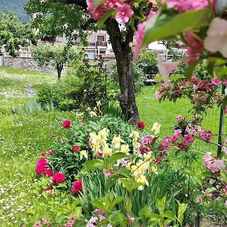 Apartment Zeli E Old