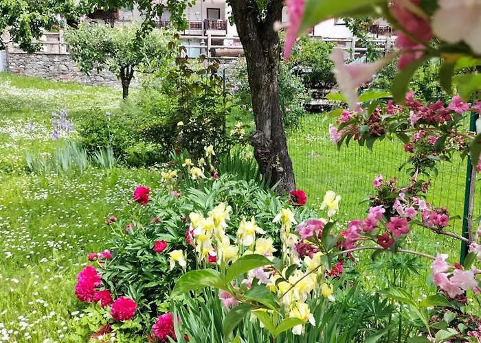 Apartamento Zeli E Old